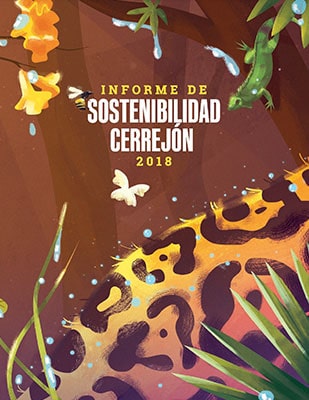 Portada informe