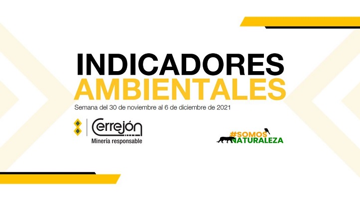 Indicadores Ambientales No