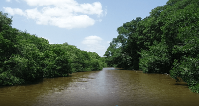 El caudal del río Ranchería aumentó a su paso por la operación de Cerrejón en 2021
