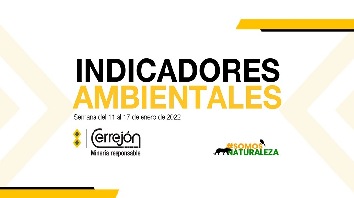 11 al 17 de enero de 2022