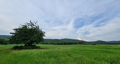 Los resultados obtenidos el año pasado por Cerrejón en materia operacional, social y ambiental, son un ejemplo de  transformación y de recuperación de la compañía para que pueda seguir avanzando de manera responsable para apoyar el desarrollo de la región y el país. 