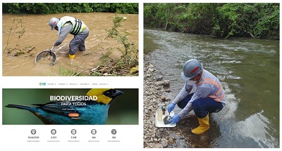 Los monitoreos de biodiversidad de Cerrejón se han convertido en insumo para 87 artículos científicos