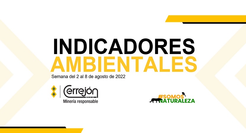 Indicador Ambiental