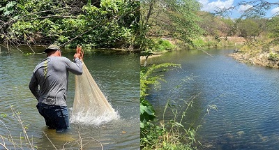 El arroyo Bruno mantiene el caudal durante la temporada de verano  