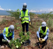 Cerrejón's Pledge to Long-Term Ecosystem Sustainability and Local Biodiversity