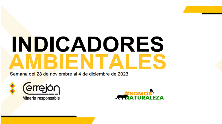 Semana del 28 de noviembre al 4 de diciembre de 2023 