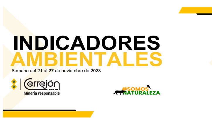 Semana del 21 al 27 de noviembre de 2023 