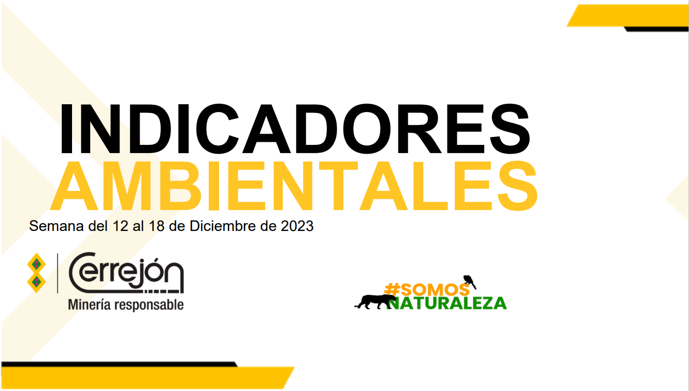 Semana del 12 al 18 de diciembre de 2023