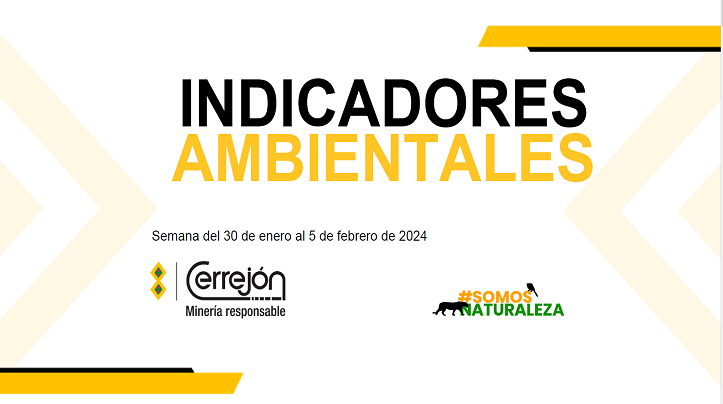 Semana del 30 de enero al 5 de febrero de 2024