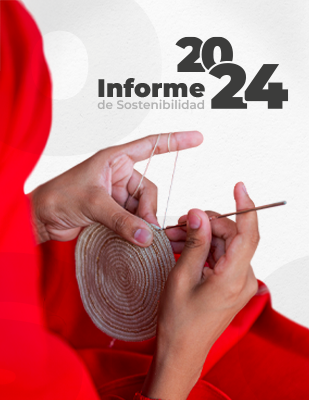 informe-sostenibilidad-imagen-portada