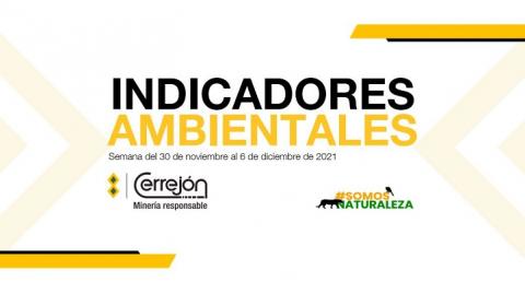 Indicadores Ambientales No