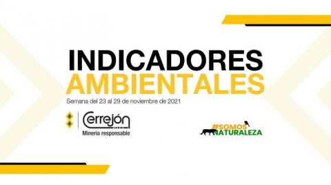 23 al 29 de noviembre de 2021
