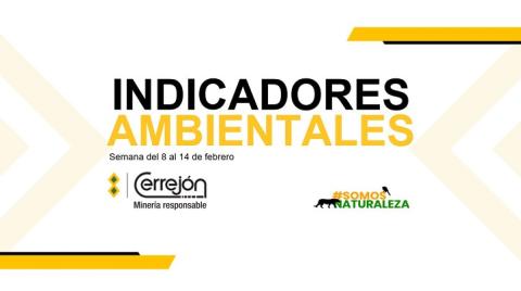 8 al 14 de febrero de 2022