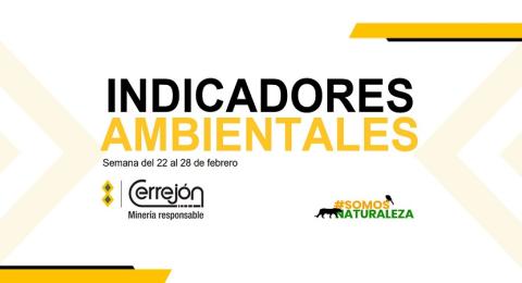 22 al 28 de febrero de 2022