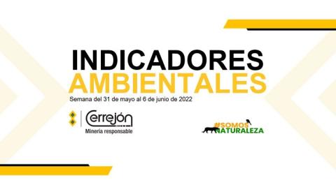 31 de mayo al 6 de junio de 2022