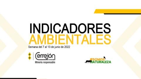 7 al 13 de junio de 2022
