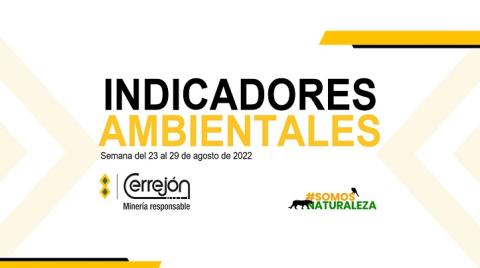 23 al 29 de agosto de 2022