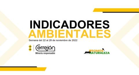 22 al 28 de noviembre de 2022