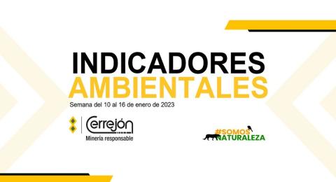 semana 10 al 16 de enero de 2023
