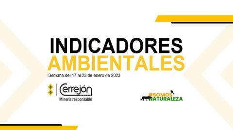 10 al 23 de enero de 2023