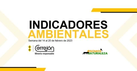 14 al 20 de febrero de 2023
