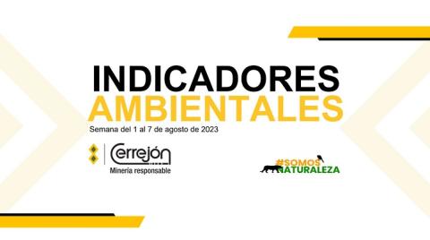Semana del 1 al 7 de agosto de 2023