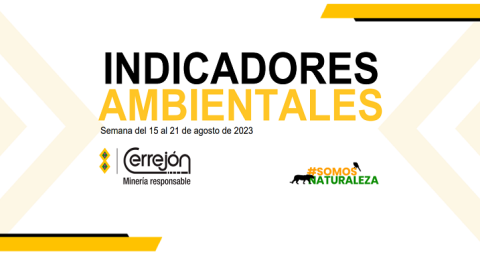 Semana del 15 al 21 de agosto de 2023