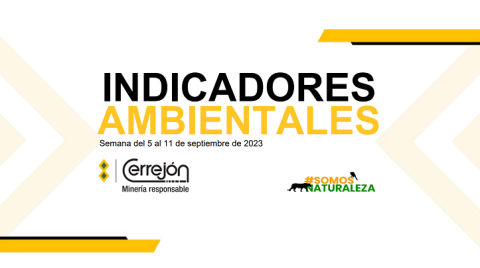 Semana del 4 al 11 de septiembre de 2023