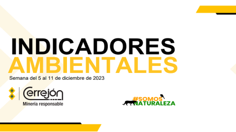 Semana del 5 al 11 de diciembre de 2023