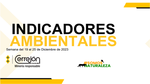 Semana del 19 al 25 de diciembre de 2023