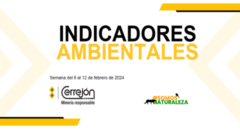 Semana del 6 al 12 de febrero de 2024
