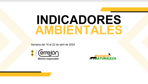Indicadores ambientales