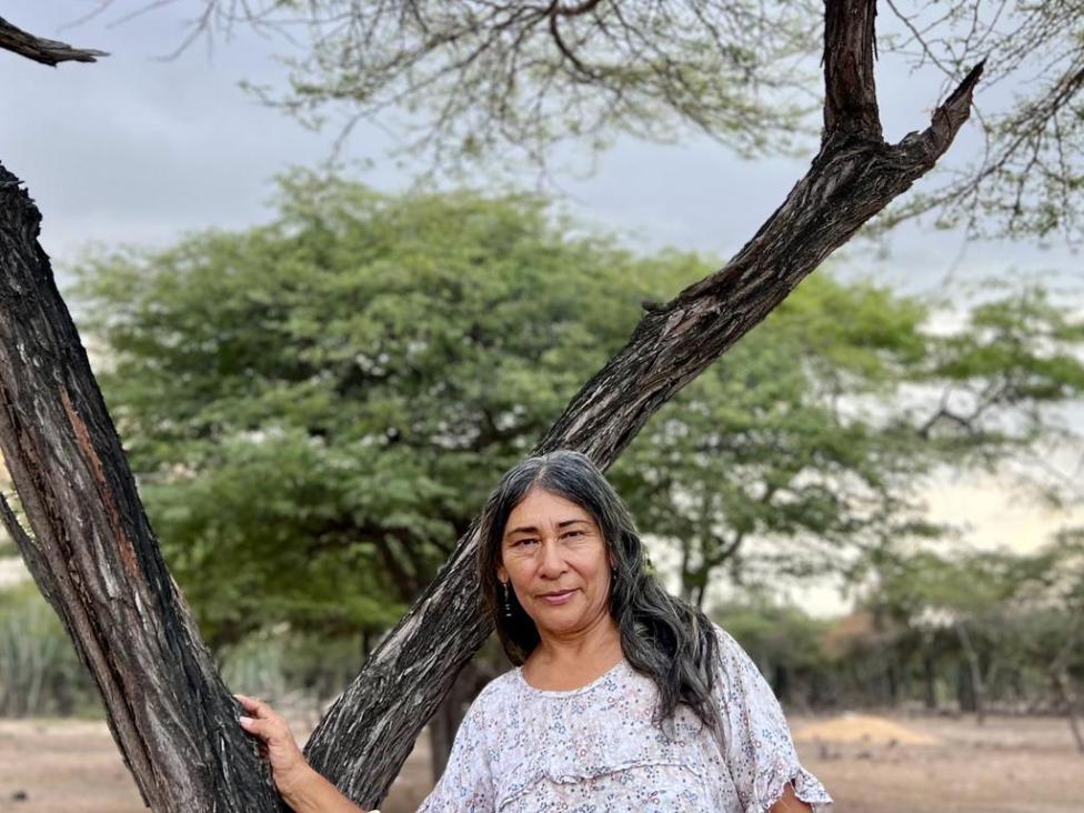 Yutaho y el árbol más poderoso de La Guajira